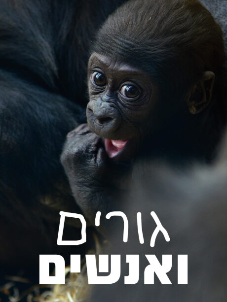 גורים ואנשים
