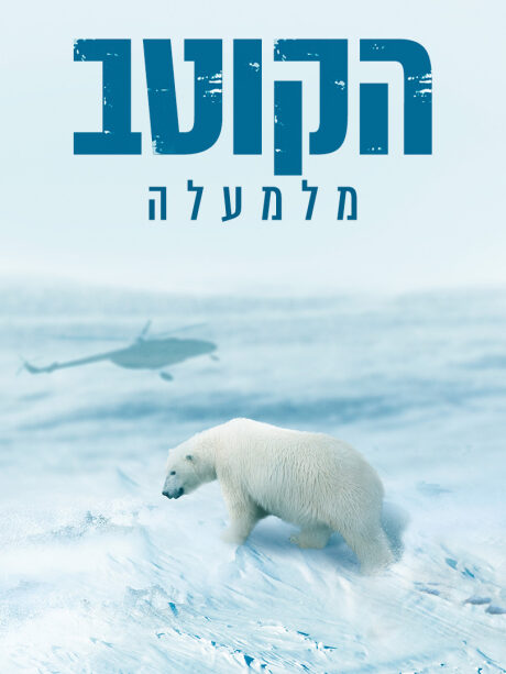 הקוטב מלמעלה