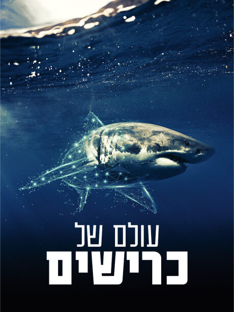 עולם של כרישים
