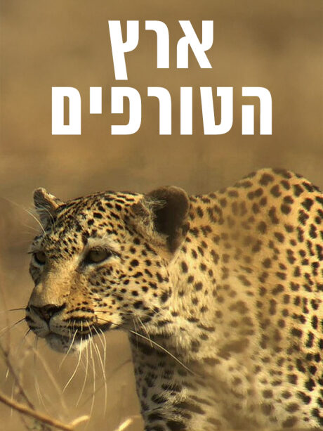 ארץ הטורפים
