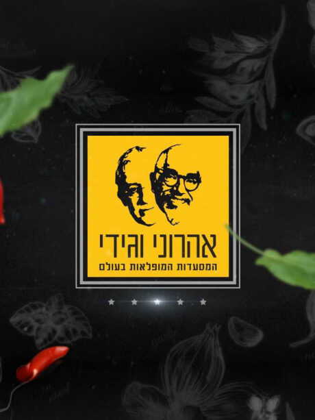 אהרוני וגידי